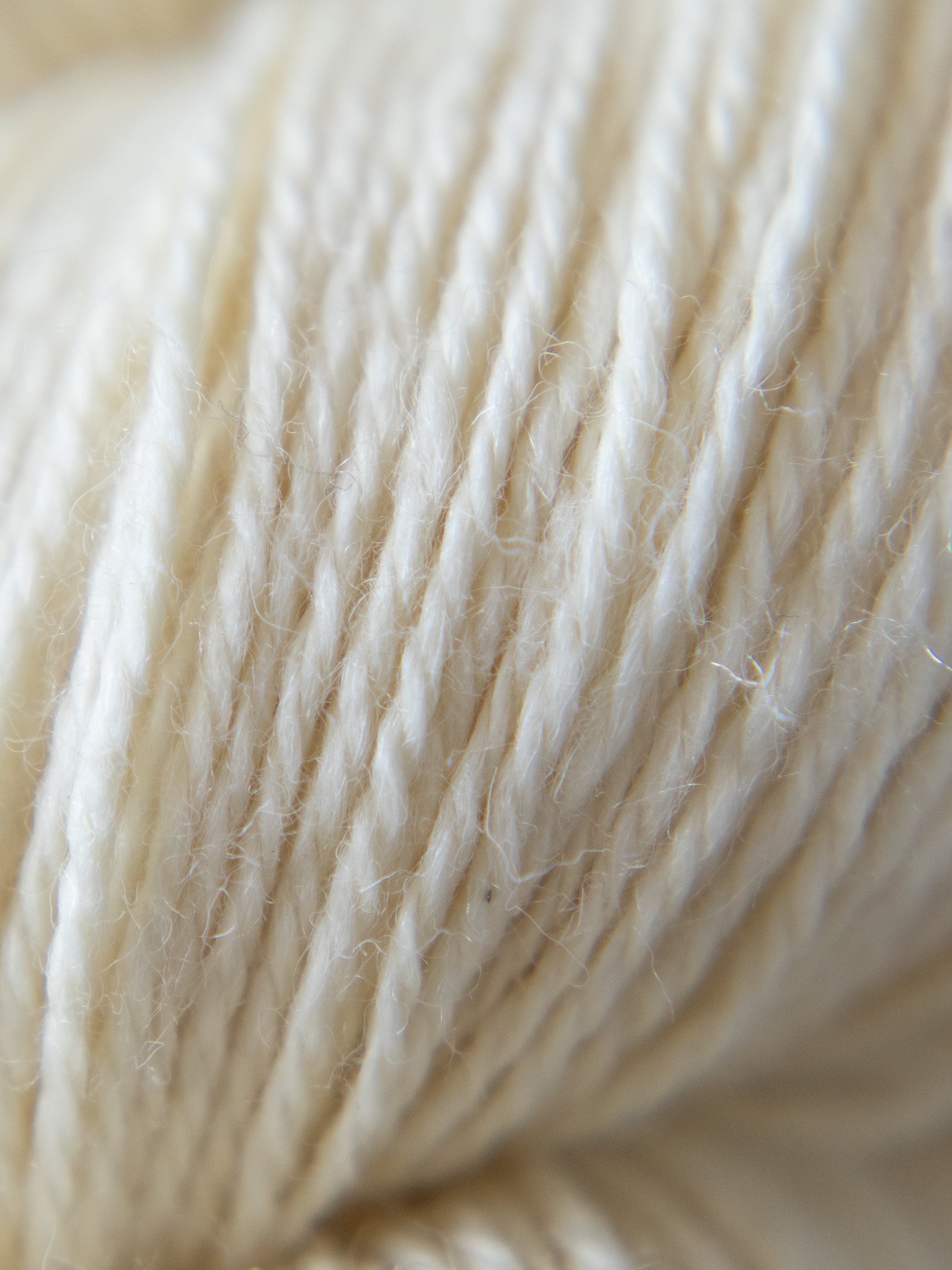 Cupid Fingering <br><small>merino, yak & silk</small>