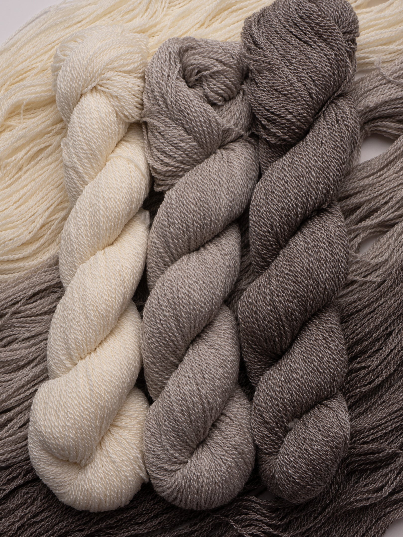 Modern Deco Lace <br><small>targhee & tencel</small>