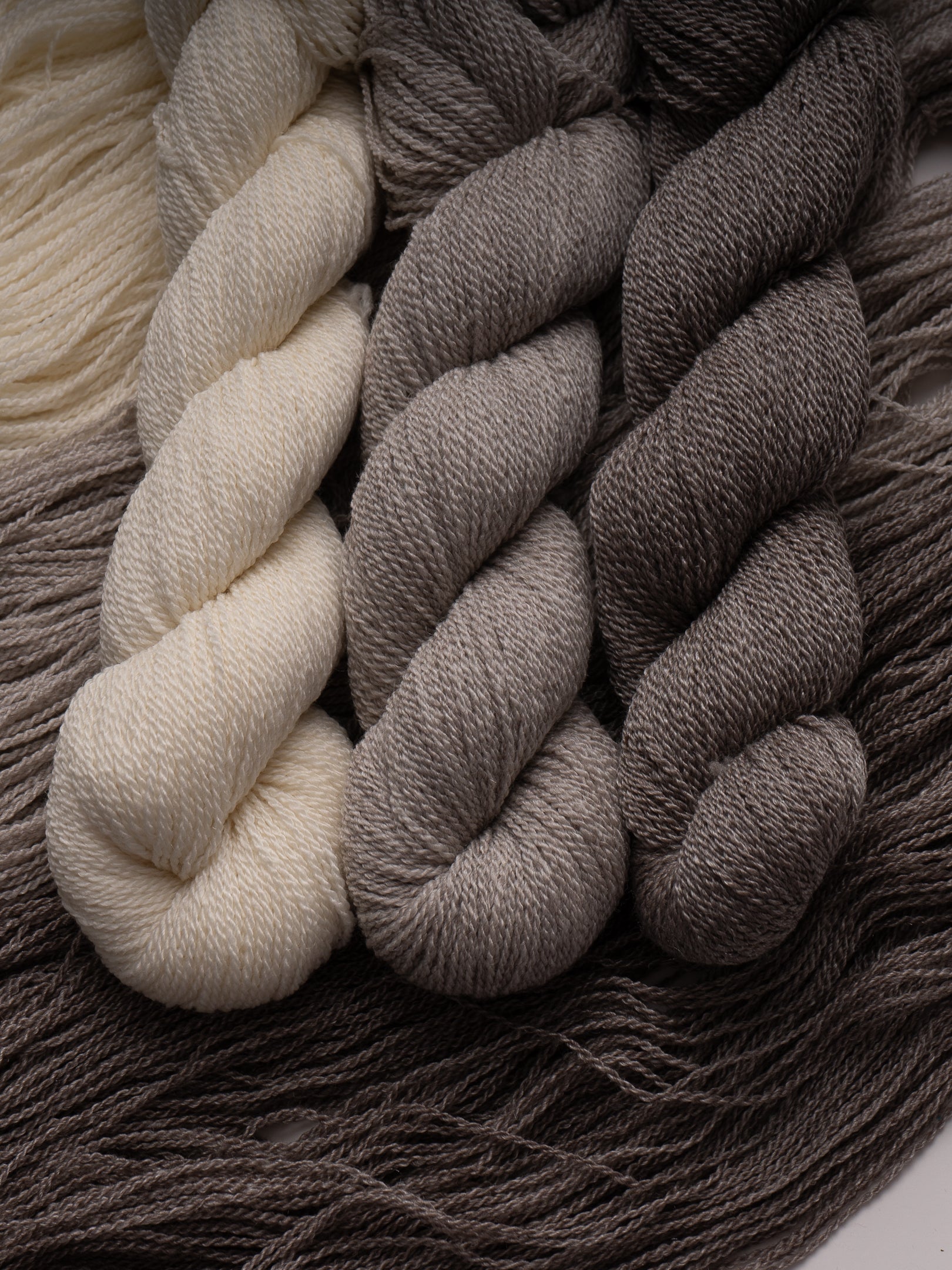 Modern Deco Lace <br><small>targhee & tencel</small>