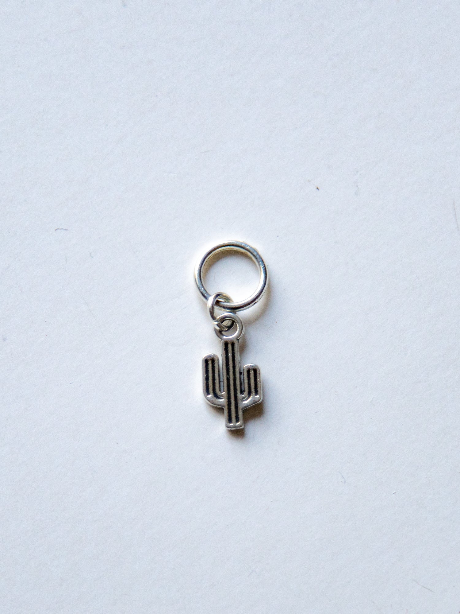 Cactus Stitch Marker