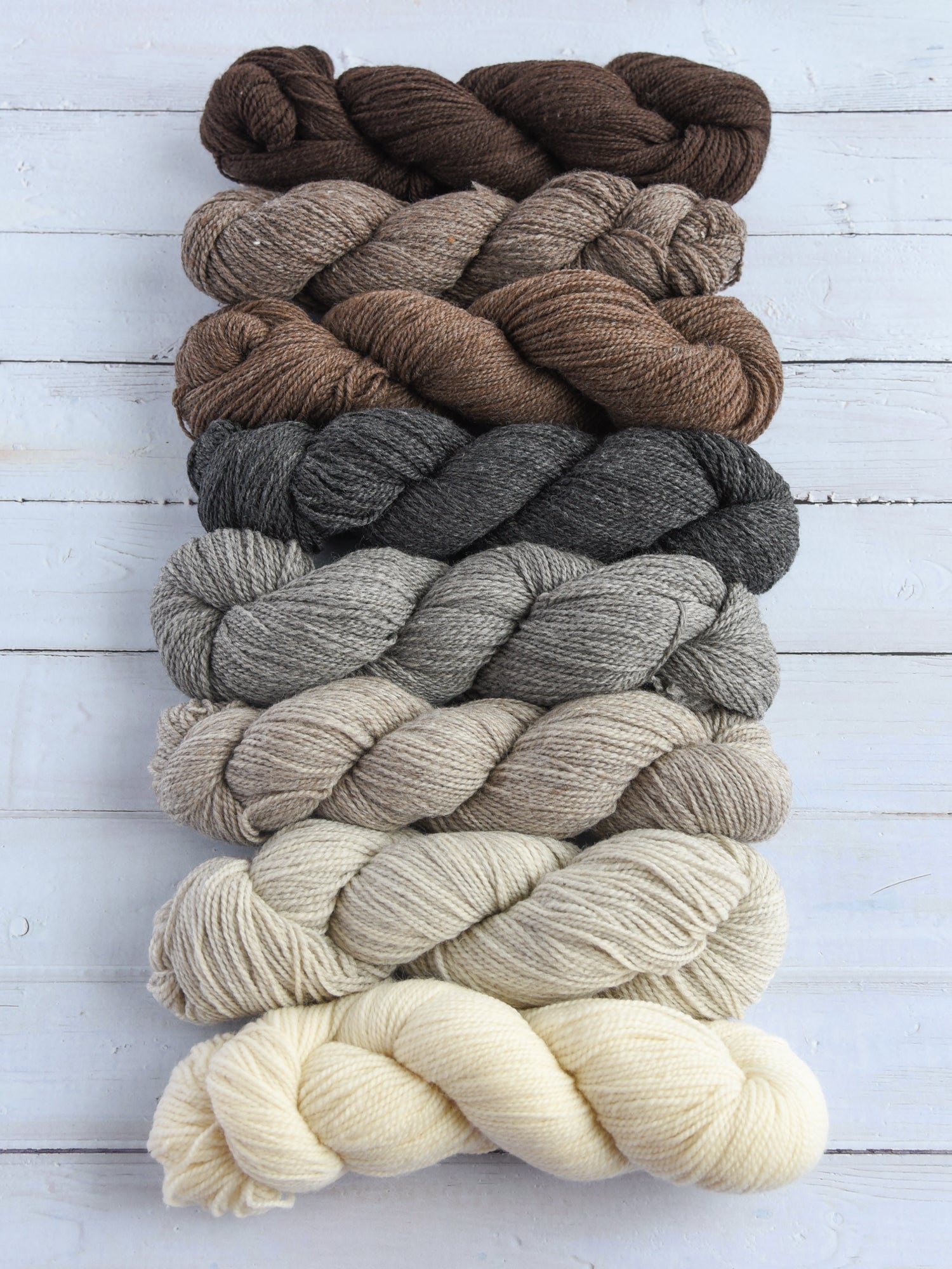 Kent DK <br><small>merino & romney</small>