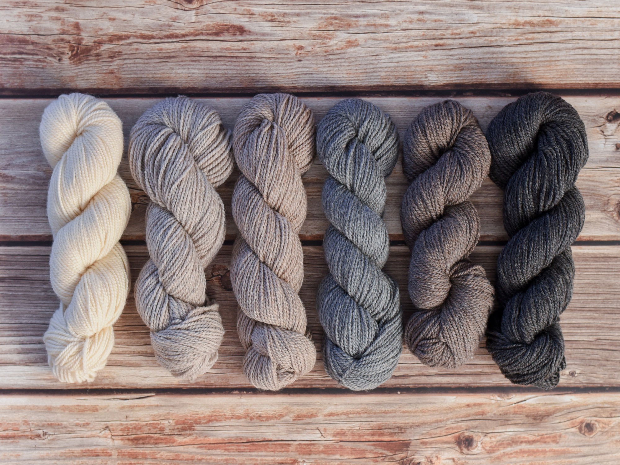 Kent Worsted <br><small>merino & romney</small>