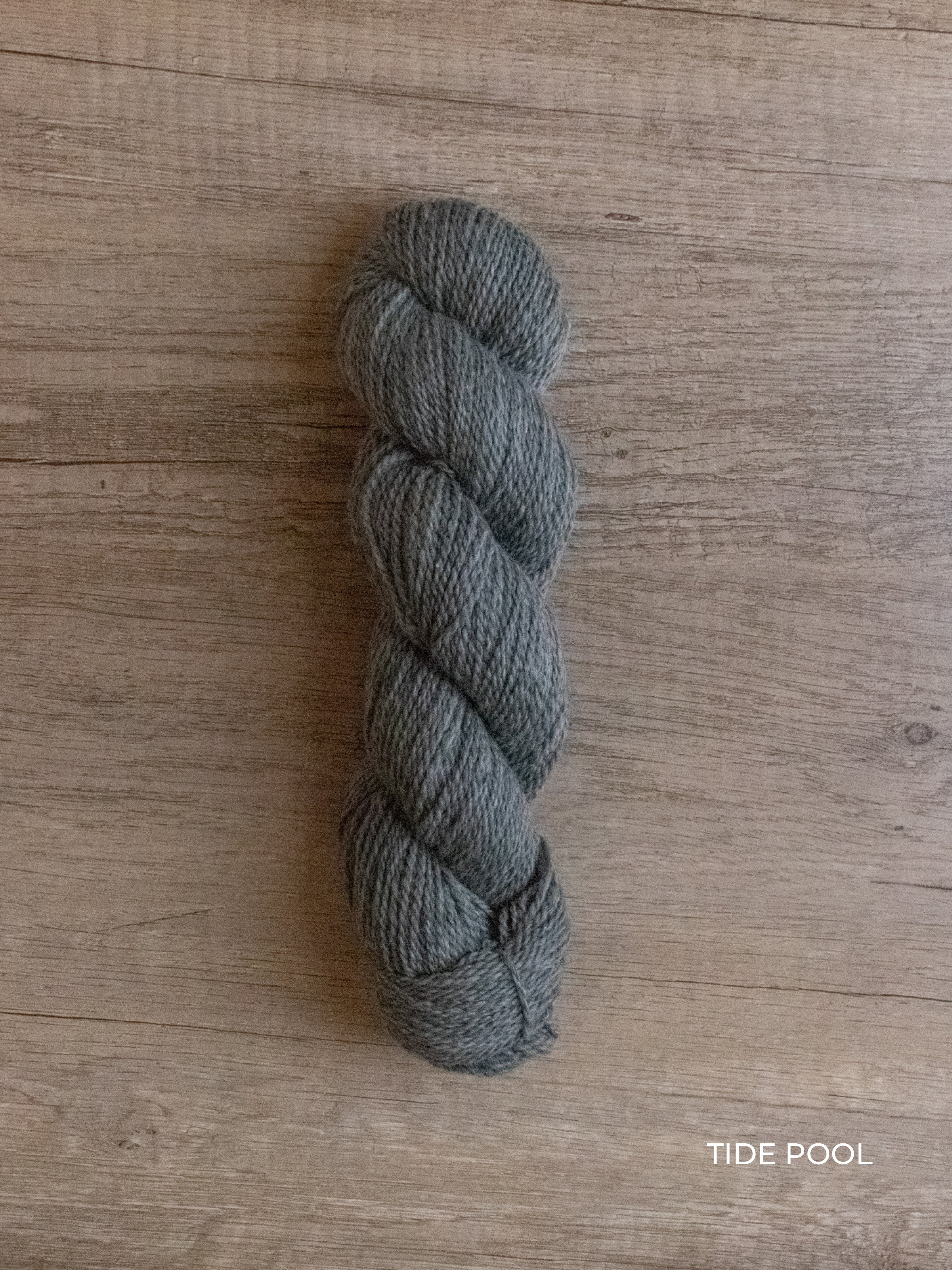 Kent DK <br><small>merino & romney</small>