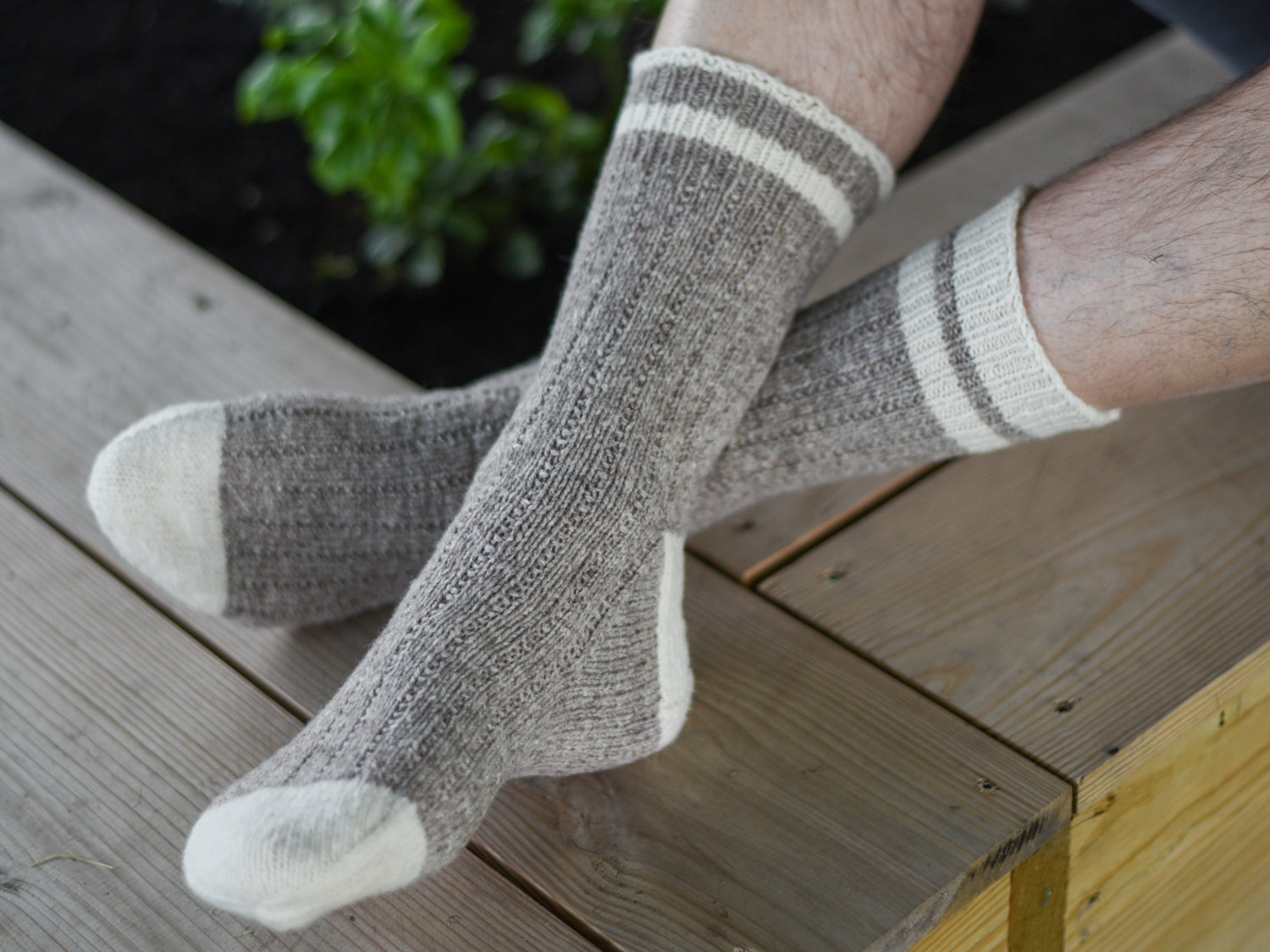 Home Office Sock