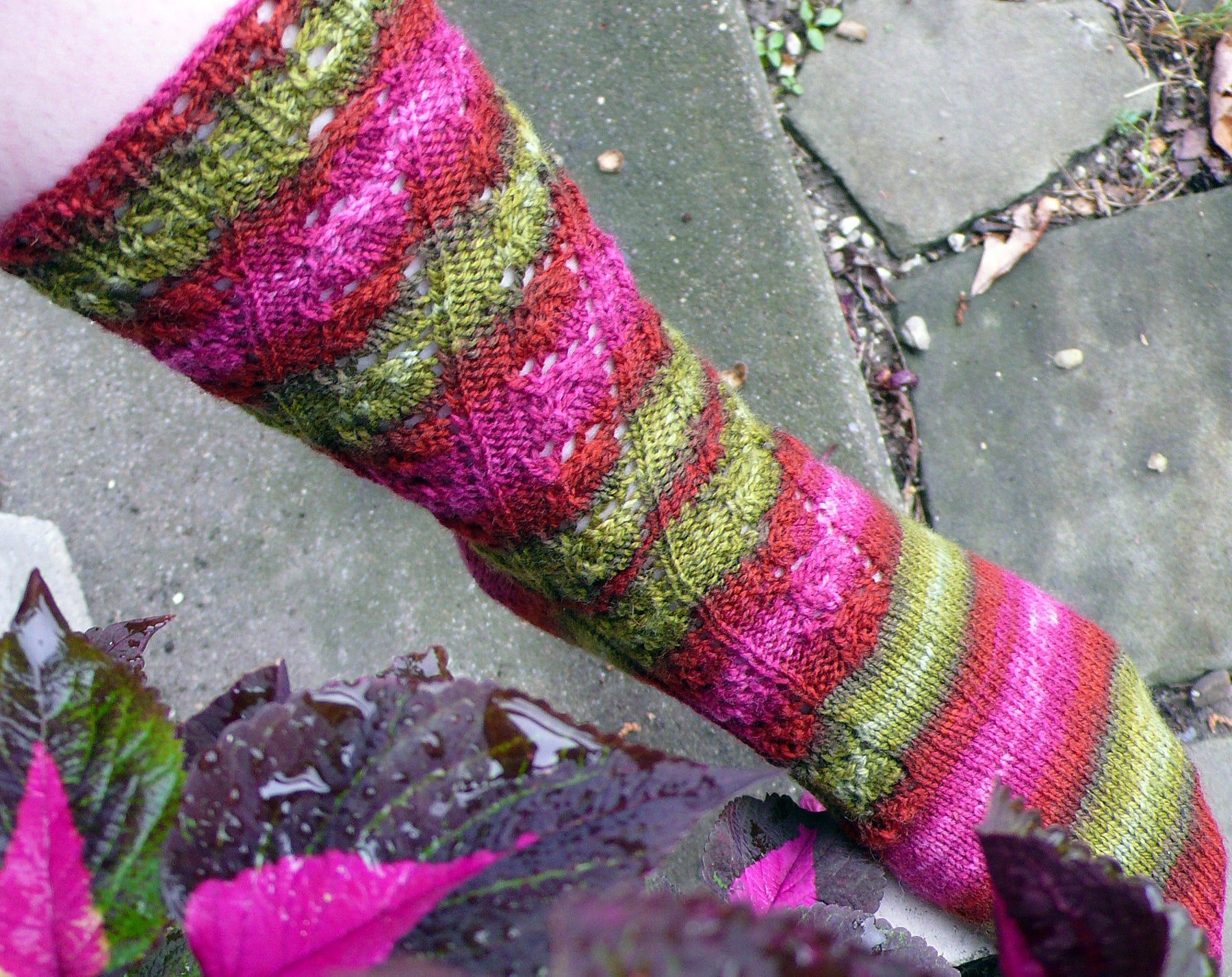 Merlot Vine Sock